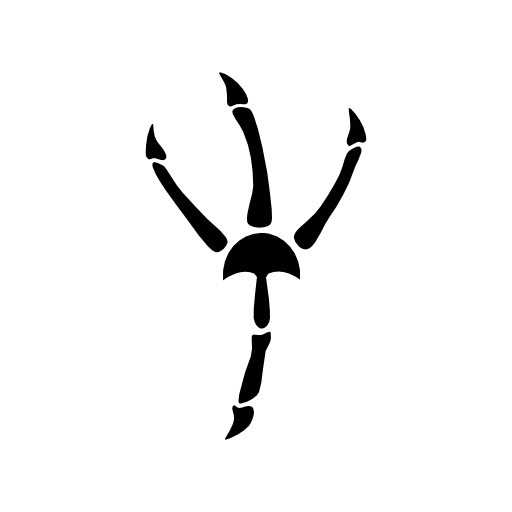 Hiidenvuota